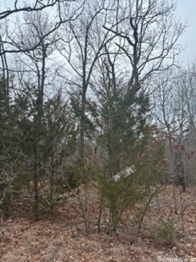 LOT14 Buckhead Ln, Mountain Home, AR 72653