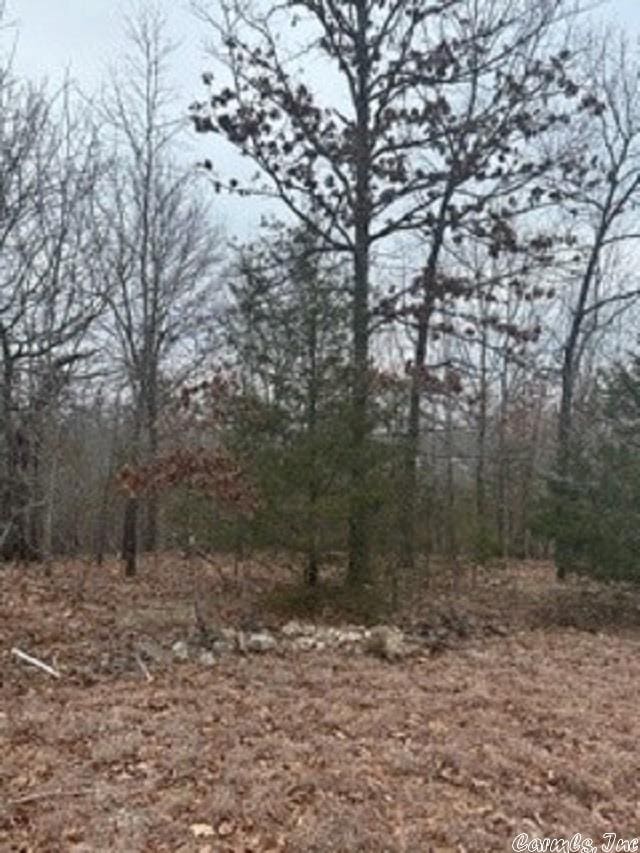 LOT14 Buckhead Ln, Mountain Home, AR 72653