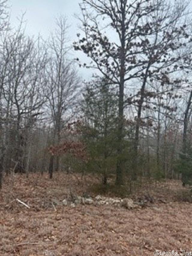 LOT14 Buckhead Ln, Mountain Home, AR 72653