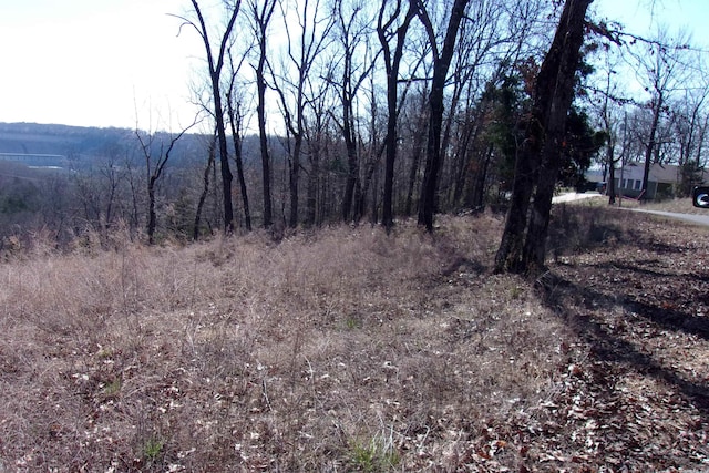 Listing photo 2 for LOT15 Country Club Ln, Bull Shoals AR 72619