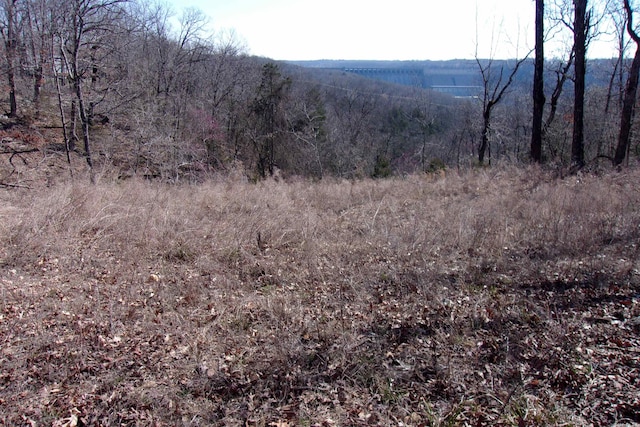 Listing photo 3 for LOT15 Country Club Ln, Bull Shoals AR 72619