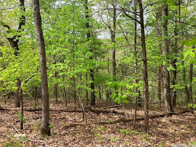 Tonto Dr, Cherokee Village AR, 72529 land for sale