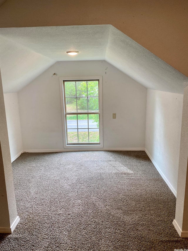 additional living space featuring vaulted ceiling, carpet, and a textured ceiling