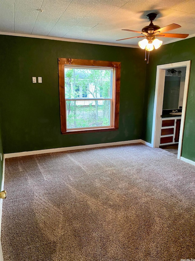 spare room with ceiling fan, carpet floors, and a textured ceiling