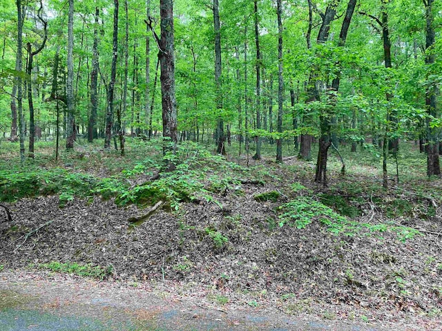 Listing photo 2 for LOT1BLK4 Almonte Way, Hot Springs Village AR 71909