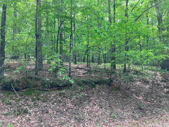 Listing photo 3 for LOT1BLK4 Almonte Way, Hot Springs Village AR 71909