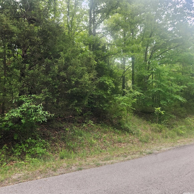 L-27B-12 Immokalee Dr, Cherokee Village AR, 72529 land for sale