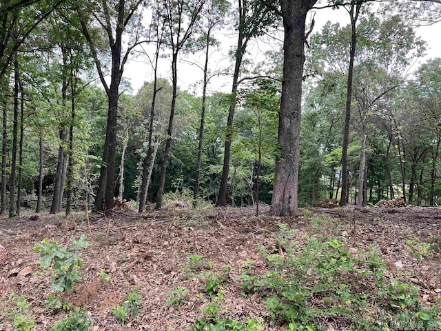 Address Not Disclosed, Harrison AR, 72601 land for sale