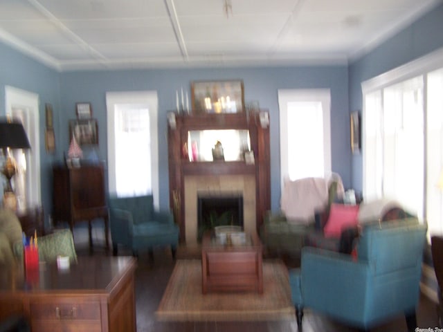 living room with plenty of natural light and dark hardwood / wood-style floors