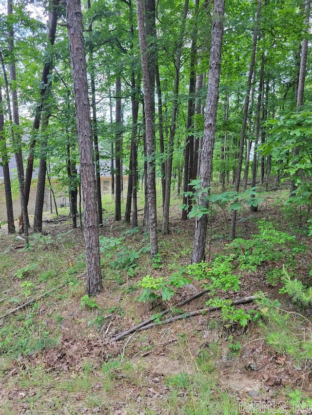 Listing photo 2 for Address Not Disclosed, Hot Springs AR 71913