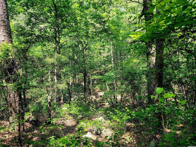 LOT17 Fern, Fairfield Bay AR, 72088 land for sale