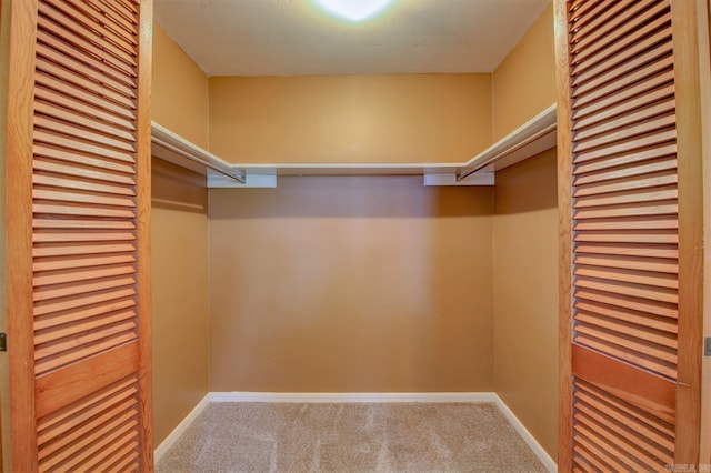 walk in closet featuring carpet