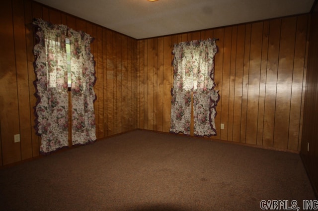 empty room featuring carpet and wooden walls