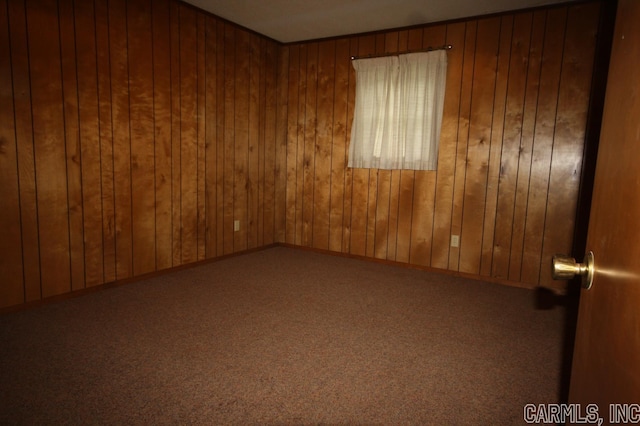 spare room with wood walls and carpet floors