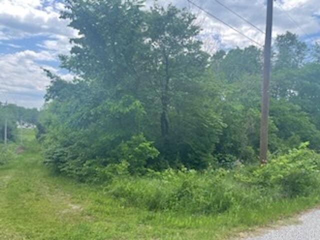 LOT58 Town Park Way, Mountain Home AR, 72653 land for sale