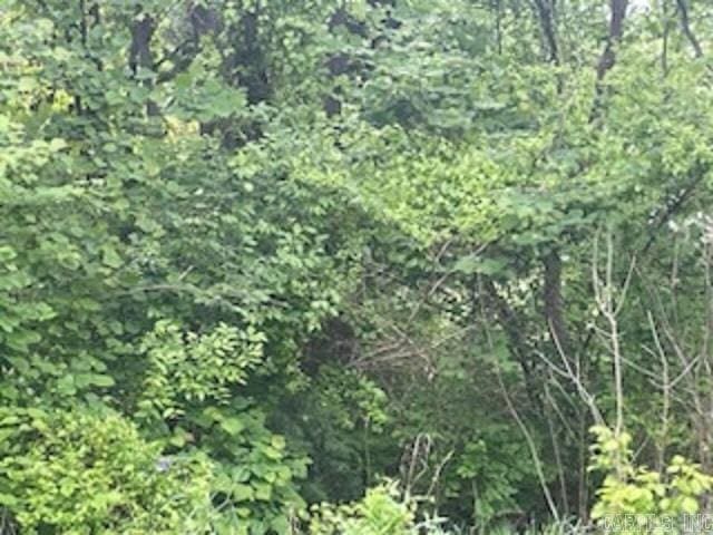 LOT58 Town Park Way, Mountain Home, AR 72653