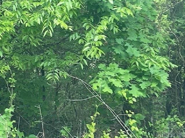 LOT58 Town Park Way, Mountain Home, AR 72653