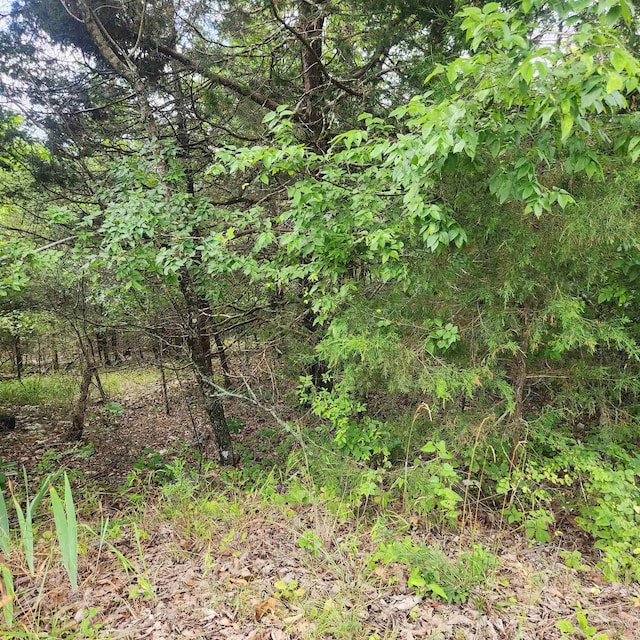 L-22 B-4 Topez Dr, Cherokee Village AR, 72529 land for sale