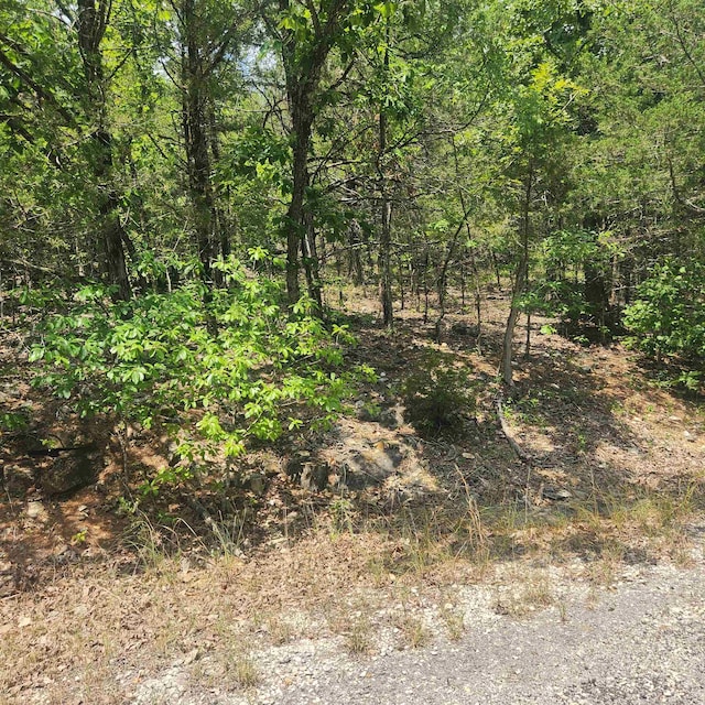 L-61 B-7 Lochloosa Dr, Cherokee Village AR, 72529 land for sale