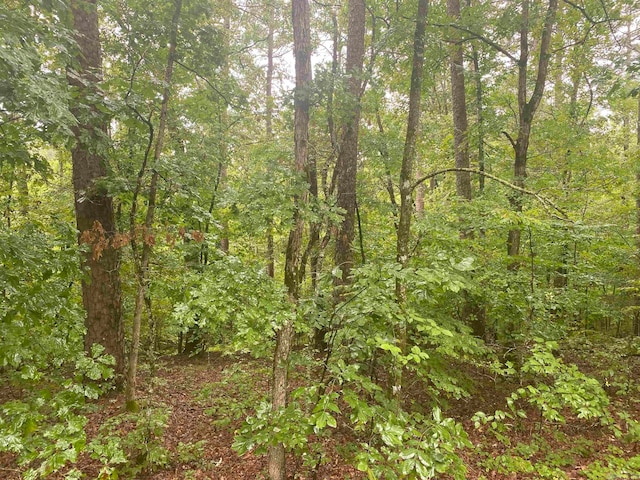 LOT31 Marcos, Hot Springs Village AR, 71909 land for sale