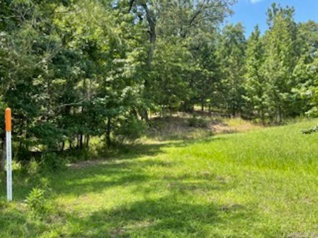 107 Navajo Trl, Maumelle AR, 72113 land for sale