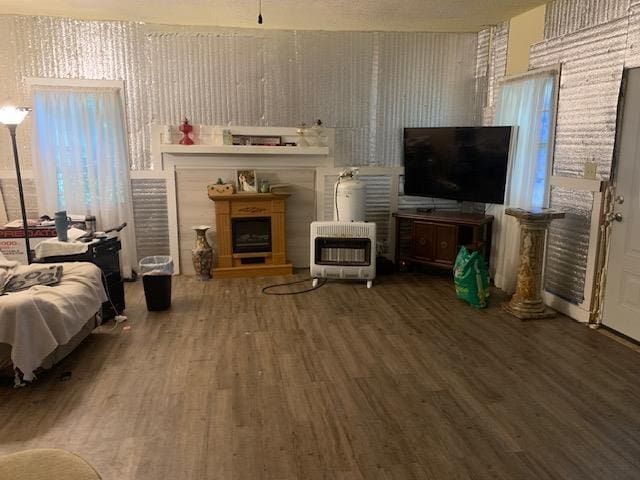 living room featuring hardwood / wood-style flooring