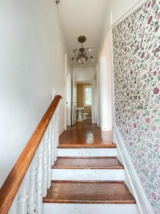 staircase featuring dark hardwood / wood-style flooring and an inviting chandelier