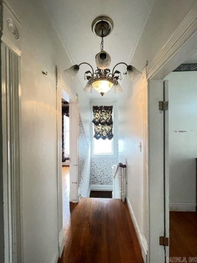 hall featuring an inviting chandelier, crown molding, and dark hardwood / wood-style floors