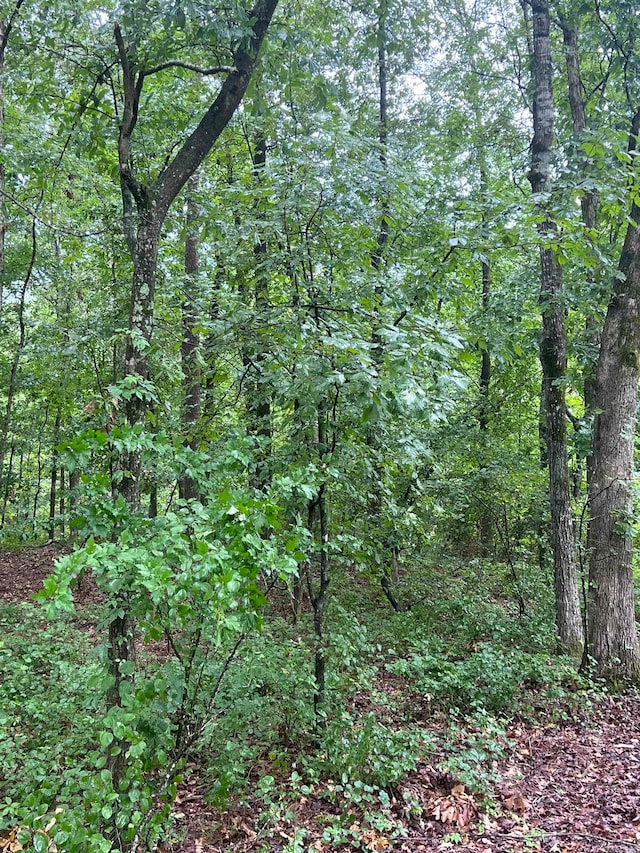 00 Boastwood, White Hall AR, 71602 land for sale