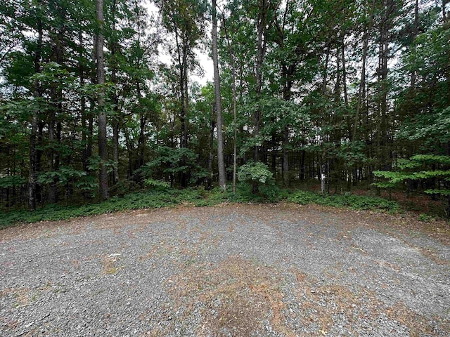 Listing photo 2 for LOT14 Thompson Cove Ln, Shirley AR 72153