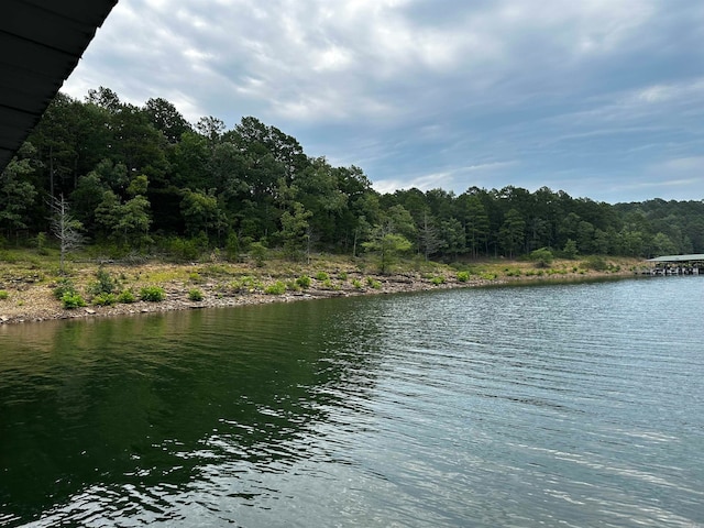 Listing photo 3 for LOT14 Thompson Cove Ln, Shirley AR 72153