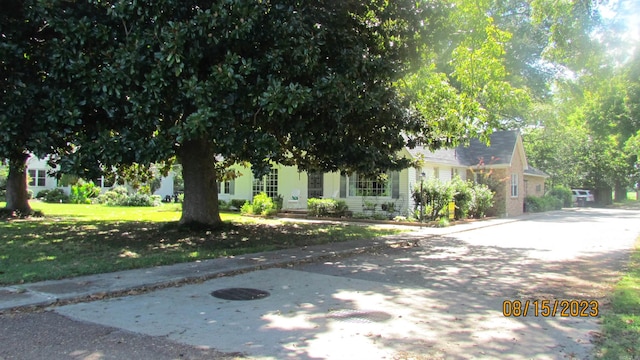 view of property hidden behind natural elements with a front lawn