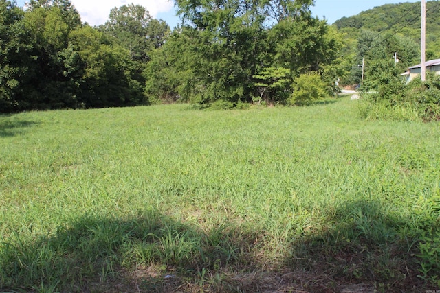 Listing photo 3 for Address Not Disclosed, Marshall AR 72650