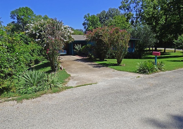 view of front of property featuring a front lawn