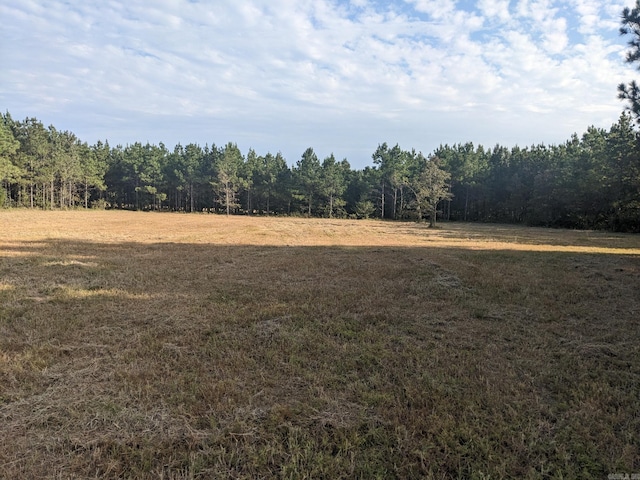 40 Wright Rd, Rison, AR 71665