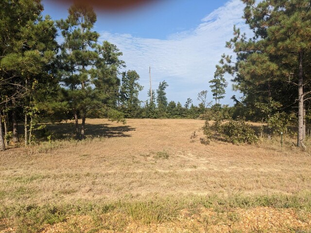 40 Wright Rd, Rison, AR 71665