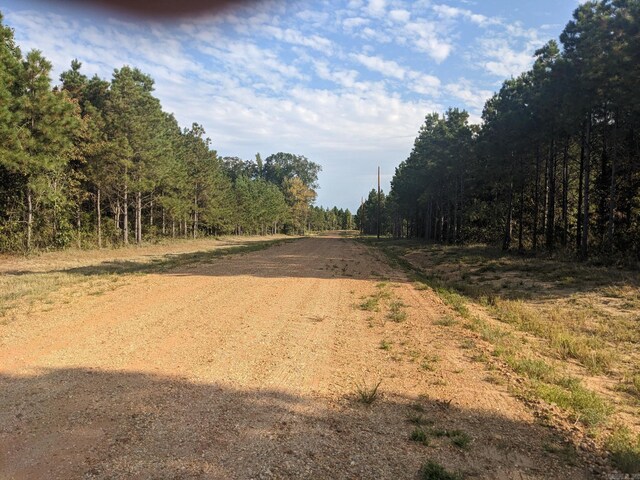 40 Wright Rd, Rison, AR 71665