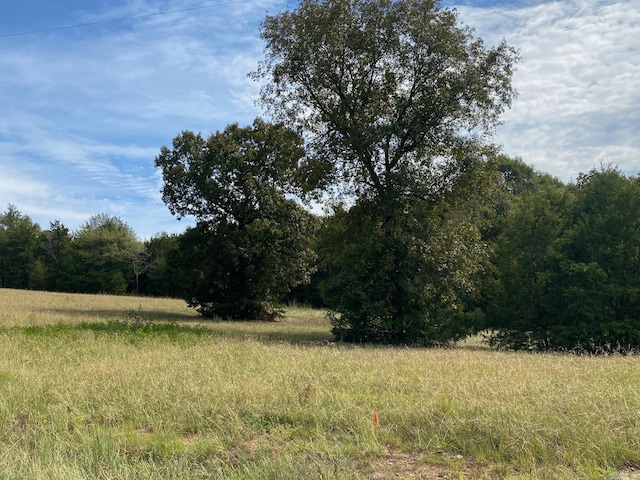 LOT20 Castlepines Dr, Greenbrier AR, 72058 land for sale