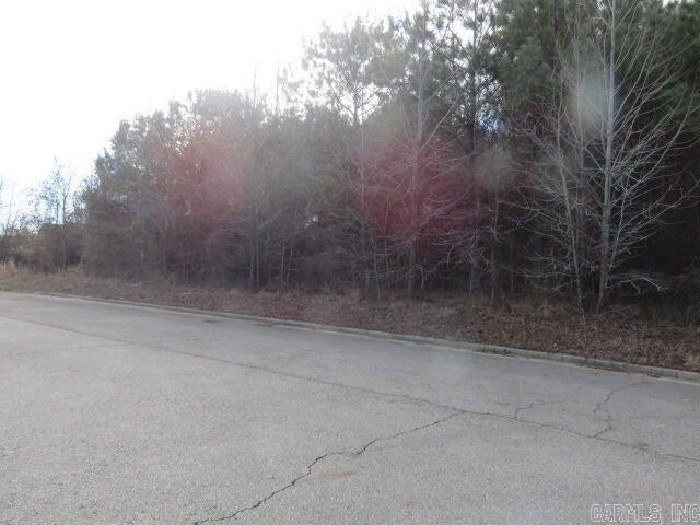 Listing photo 3 for Address Not Disclosed, Clarksville AR 72830