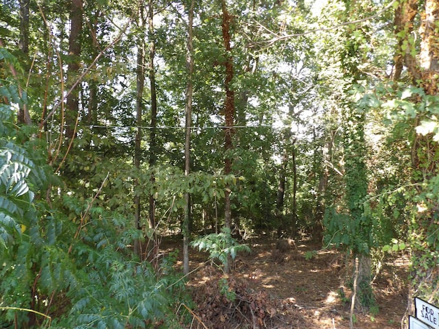 Listing photo 2 for LOT39 Glenwood Dr, Monticello AR 71655