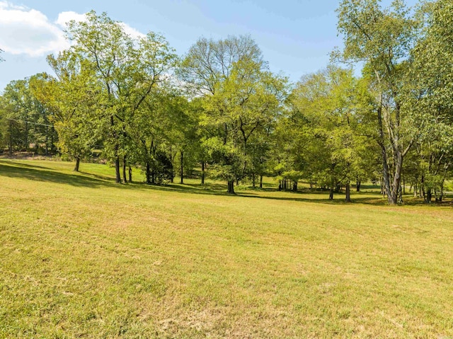 exterior space with a yard