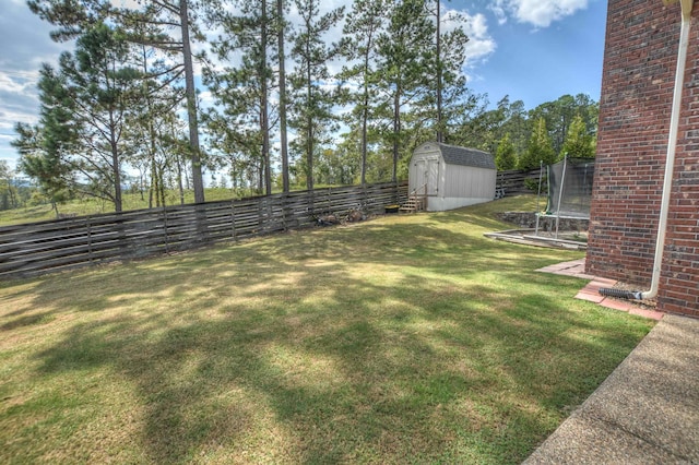 view of yard with a shed