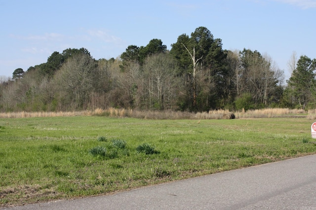 Address Not Disclosed, Nashville AR, 71852 land for sale