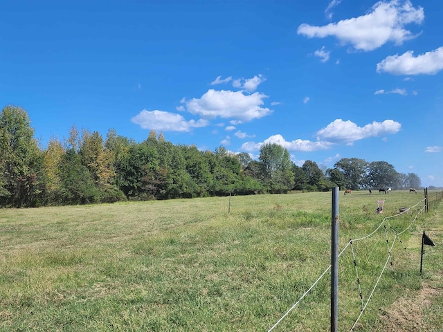 view of yard with a rural view