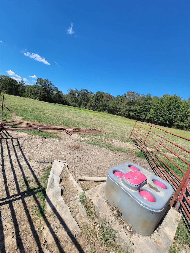 view of yard with a rural view