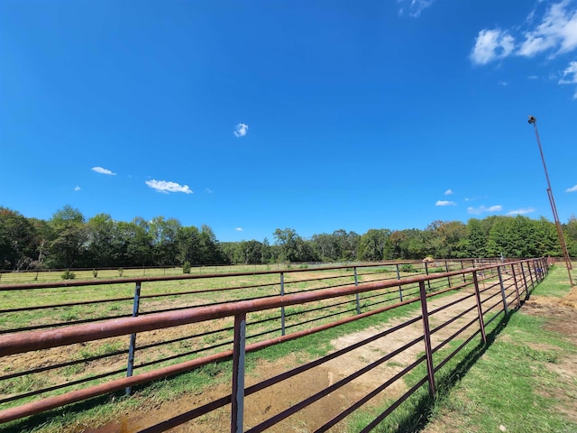 view of yard featuring a rural view