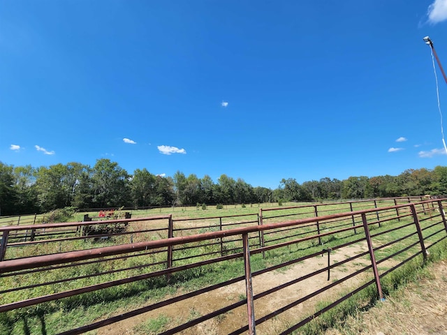 view of yard featuring a rural view