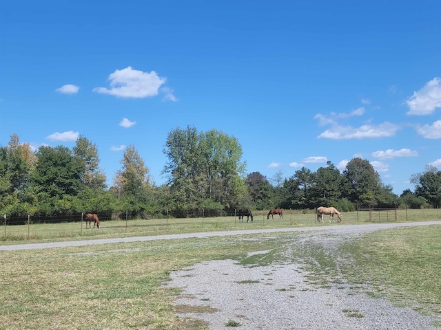 view of street with a rural view