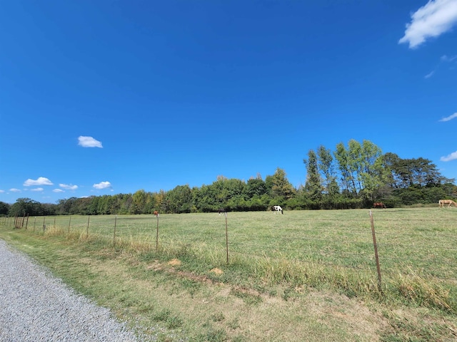 view of yard featuring a rural view