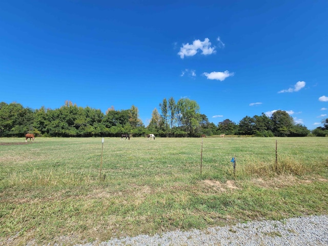 view of yard featuring a rural view